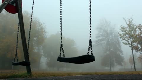 A Park's View Of Autumn Trees On A Foggy Day