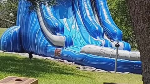 Labrador Loves Giant Waterslide