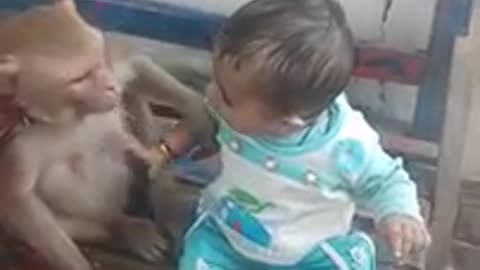 Baby playing with monkey