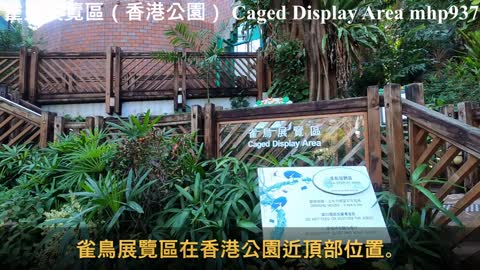 雀鳥展覽區 (香港公園) Caged Display Area (Hong Kong Park), mhp937, Dec 2020