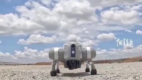 Chinese Military Robot Dogs.