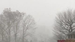 Heavy Snow Squall In Western PA!