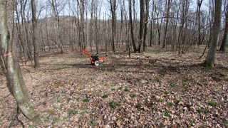 Time Lapse Grinding out 14 More Stumps