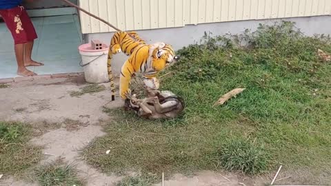 Fake Tiger Prank with Dog!!! Dog Run Very Funny Prank Video 2021