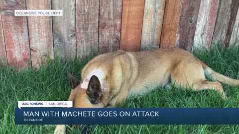 A man with matchete goes on attack