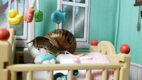 Cute Snail needs to cuddle his Teddy before going to sleep