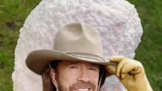 "The Legend of Chuck Norris: 10 Astonishing Did You Know Facts"