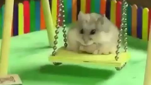 Swing for hamsters