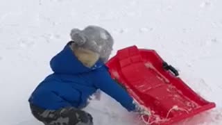 Little boy sleds down slope, turns and flips over