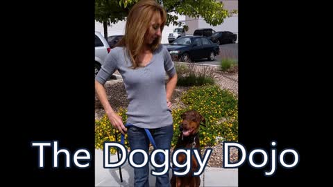 The Doggy Dojo - (702) 713-1052