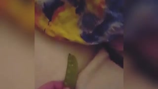 Pig eats peas from under tie dye blanket