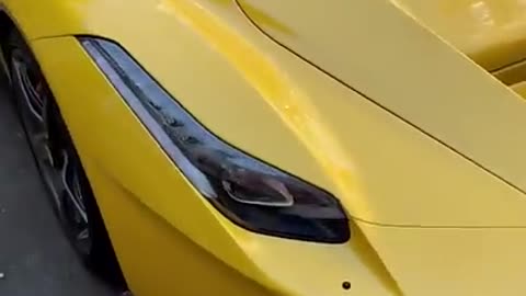 Yellow cars lover