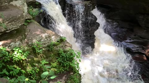 Murray Reynolds Falls