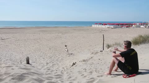 Dog beach huntington beach Noman