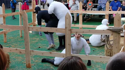 Sheep Mating Performance at Children's Theatre