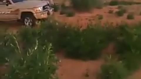 🔥 Sudan's Rapid Support Forces Attack Wad Ajana Village in North Kordofan | RCF