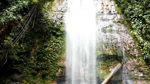 Waterfall River Nature - Free video on Pixabayixabay ·2022