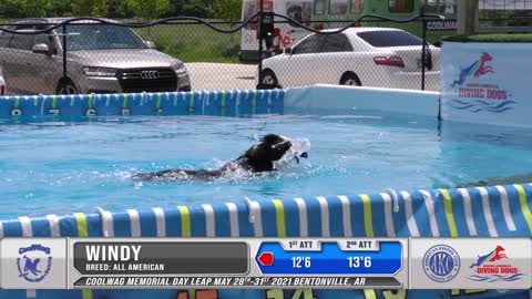 Coolwag Diving Dogs Competition - Splash #1