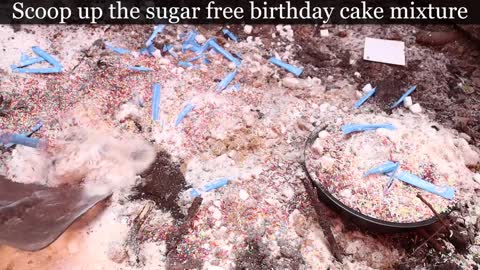 How To Make a Sugar Free Birthday Cake