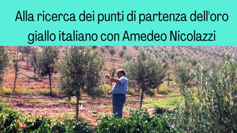 Amedeo Nicolazzi | Notizie e fatti correlati