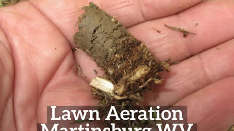 Lawn Aeration Martinsburg WV Lawn Care Service