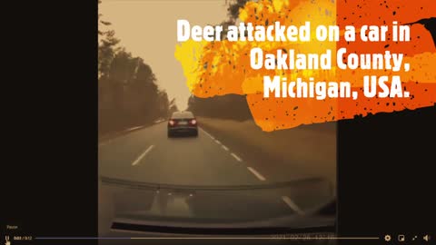 A group of Deer hit the car on highway in Oakland County MI