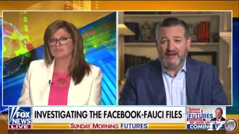 Ted Cruz: Facebook Could Have "Significant Liability" for Acting on Government's Behalf