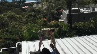 Carpet Python Caught on Roof