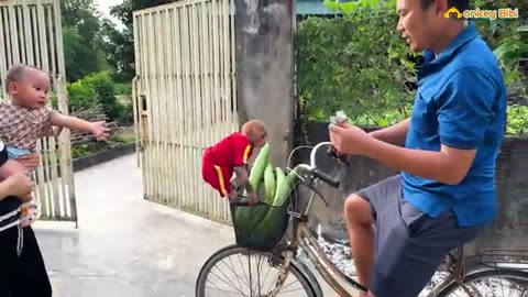 Monkey helps to dad con the chairs for animals