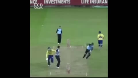 cricket_funny_WhatsApp_status_and_30_second_funny_clips#short_video(720p)