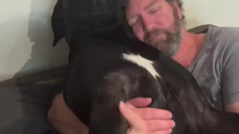 Dad gets revenge on clingy Great Dane
