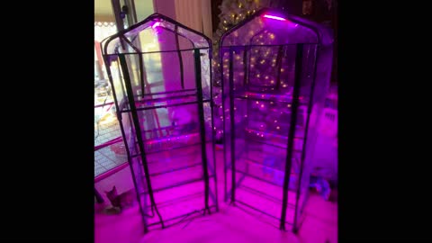 part 2 adding grow lights to the 4 Tier green house