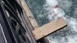 Diver Miscalculates into Back Flop