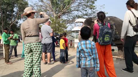 View of tourists taking photos of elephant in Hampi