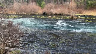 Interesting Geological Section of Metolius River – Central Oregon