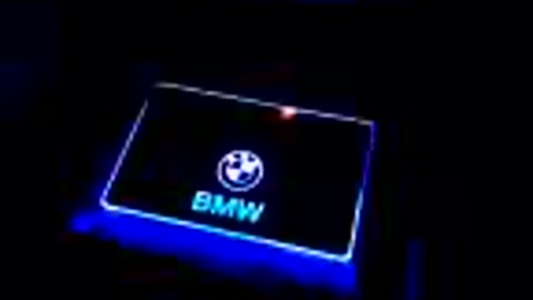 BMW Floormats