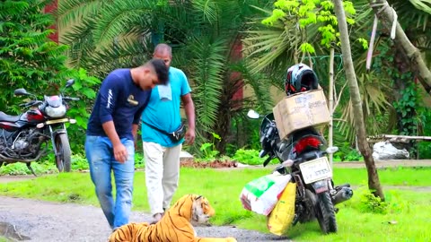 Fake Tiger Prank on Public __ Fake Tiger vs Crazy Man Prank Video - Can't Laugh Alone