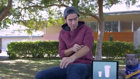 Zach King magic vines