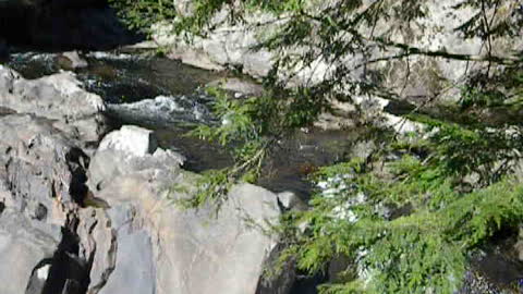 White Waters in the Smokies