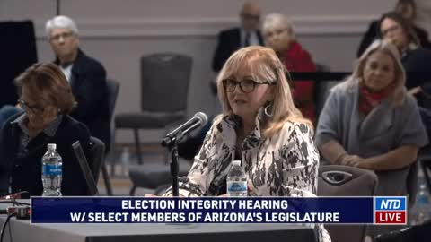 Maricopa County poll watcher was concerned about the processing of mail-in ballots