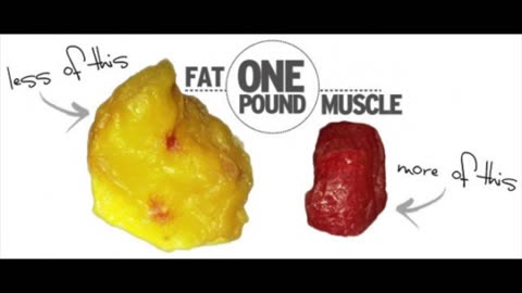 The Real Difference Between Muscle And Fat…and Why It’s So Important To You, Part 2