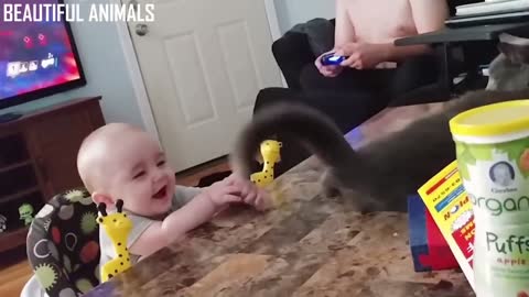 Babies playing with Cats Together, very Funny Pets Videos. Part -VII.