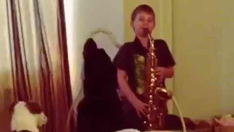 Dog sings along during little boy's saxophone practice