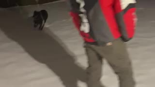 Puppy’s first snowfall
