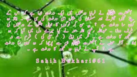 SAHIH Bukhari Hadees no .61. HADEES NABVI in Urdu.