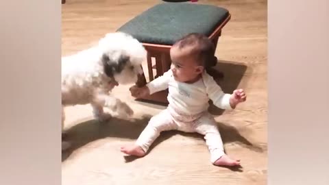 The Cutest Pet and Baby Videos - Funny Baby and Pet