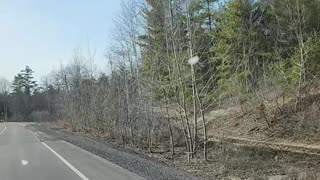 03-08-24 | Traveling Calabogie Back Roads | The Lads Vlog-004 | #shorts