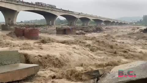 Floods, landslides kill dozens as monsoon rains hits India