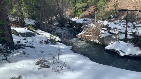 Prominent Rocky Canyon – Whychus Creek Trail – Central Oregon