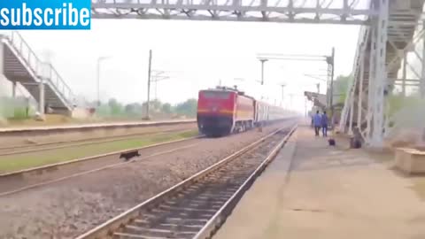 Animal hits by train😑😬😪 | Train hit animals Animals Point